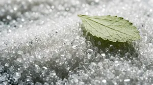 Low-Sugar Bubble Tea Sweetener Technology: Beyond Stevia and Erythritol
